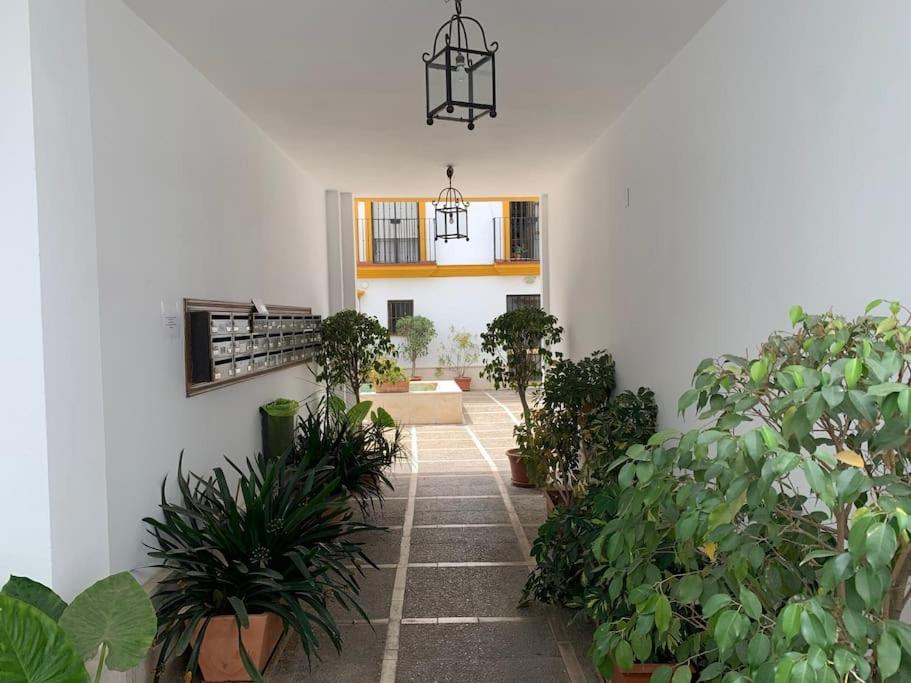Pilsev Center Apartment 세비야 외부 사진